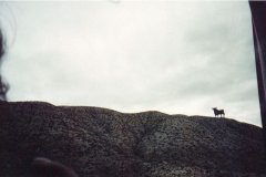 barcelona-11
