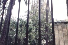barcelona-62