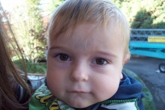Leo 1 anno