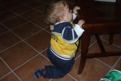 leo-1-anno-10