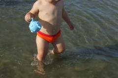 estate2010-leonardo-villa-0011