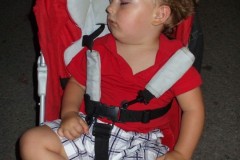 estate2010-leonardo-villa-0039