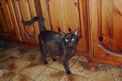 mici-08