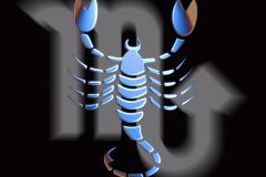 segni-zodiacali-11